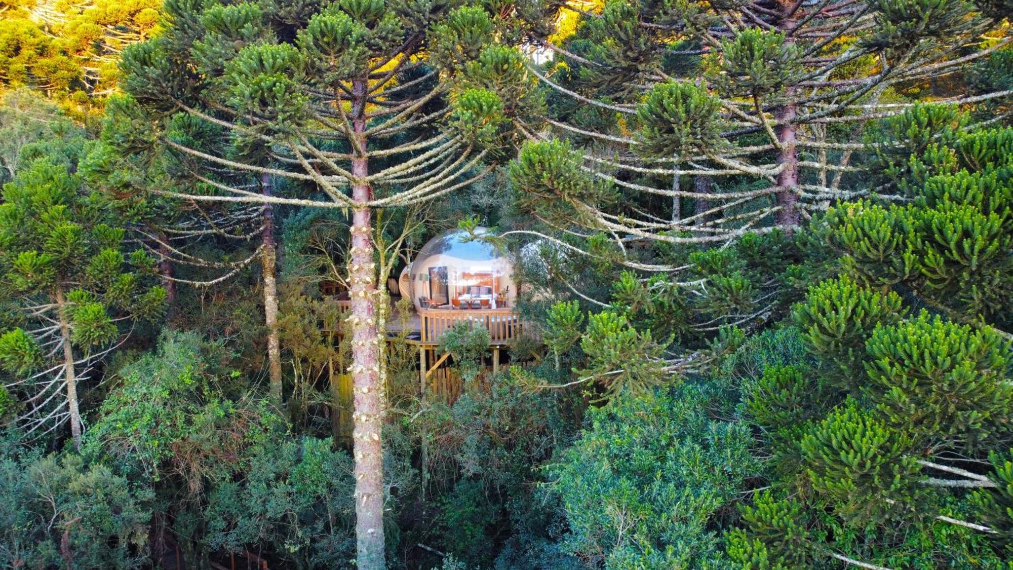 Zion Bubble Glamping