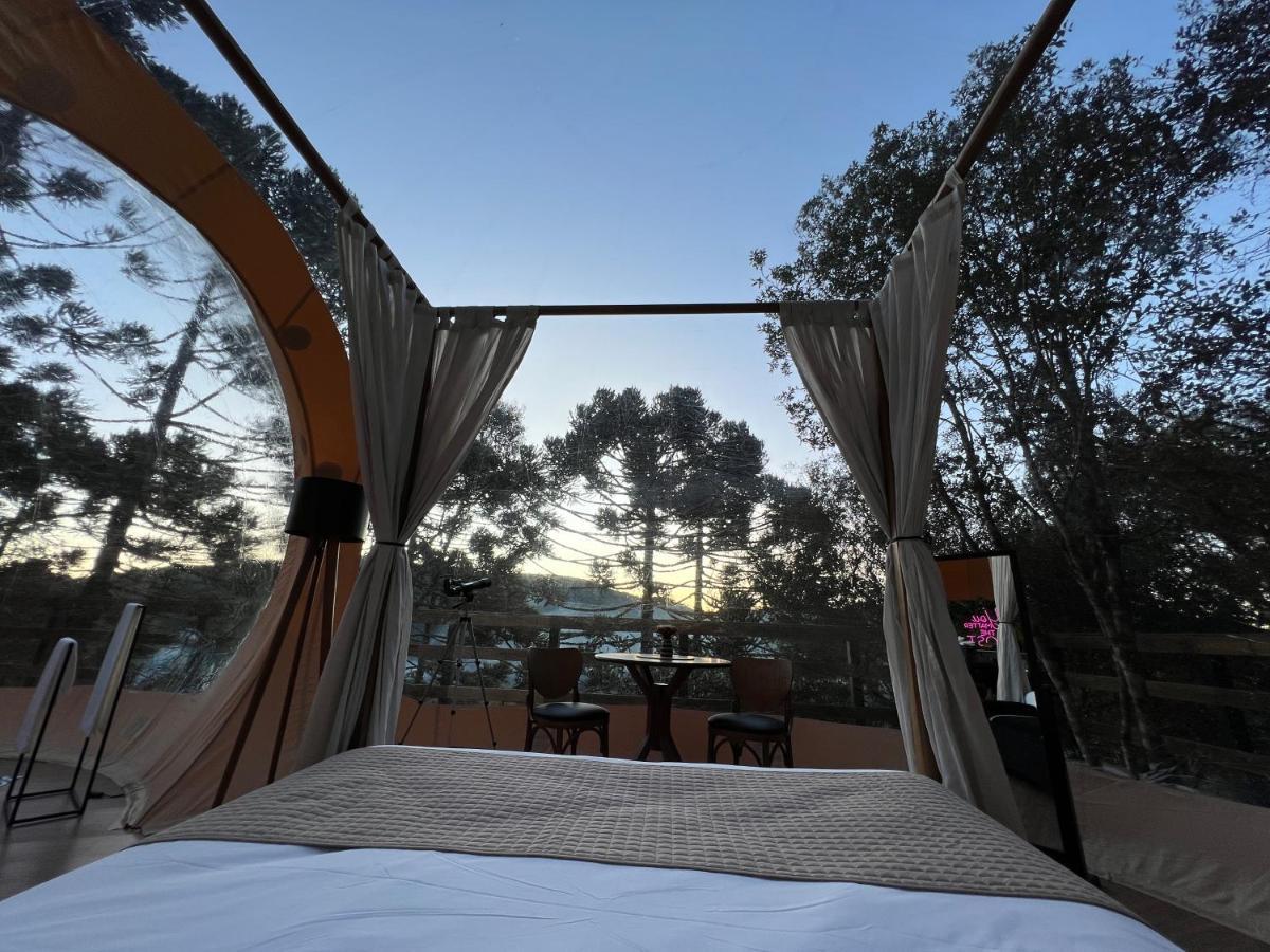 Zion Bubble Glamping *