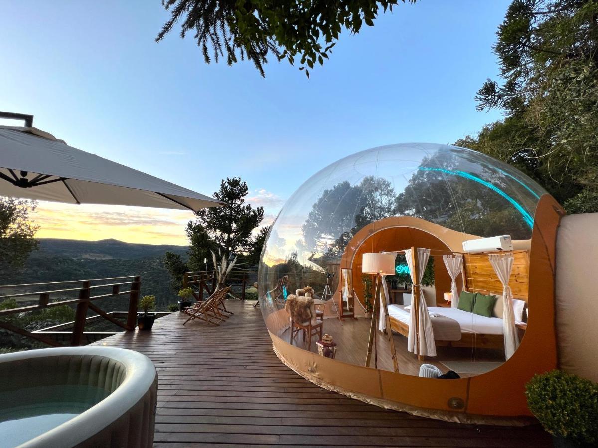 Zion Bubble Glamping *