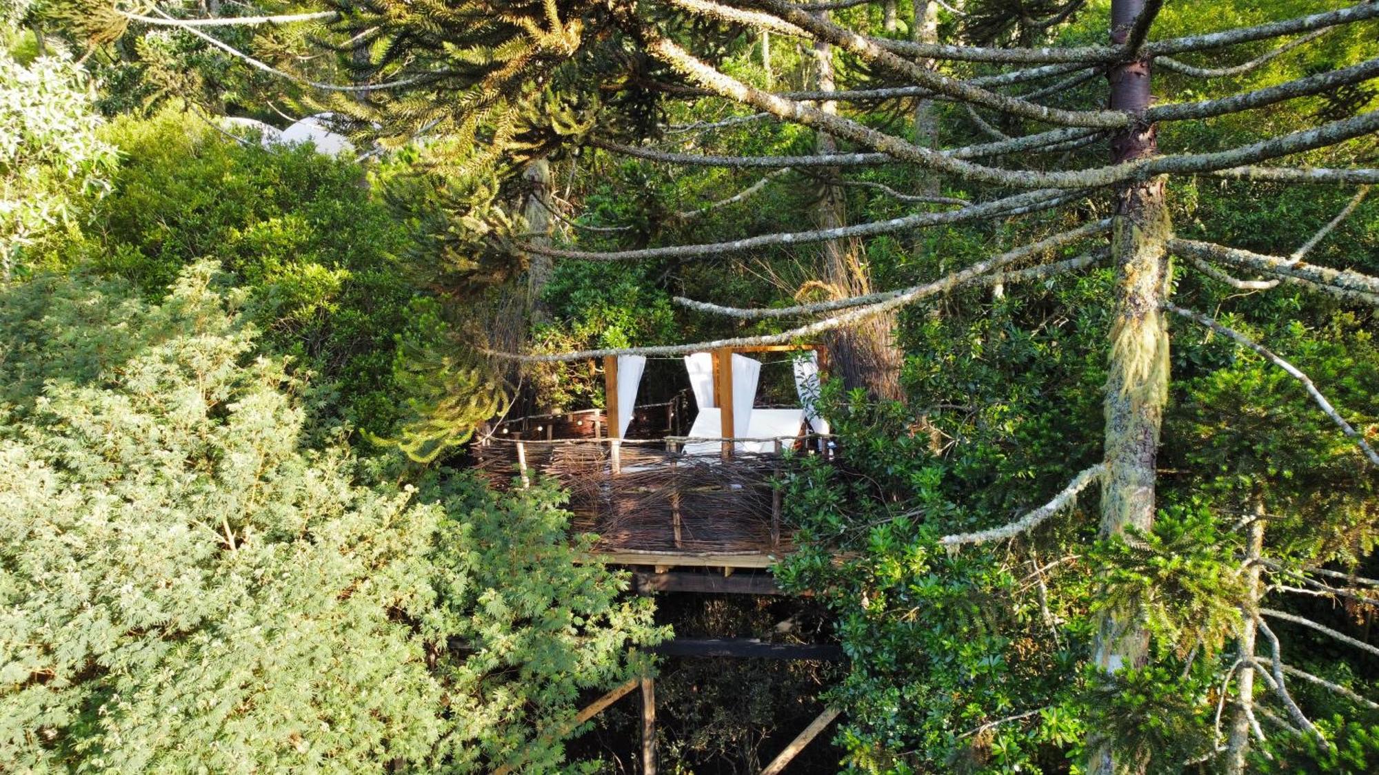 Zion Bubble Glamping Hotel *