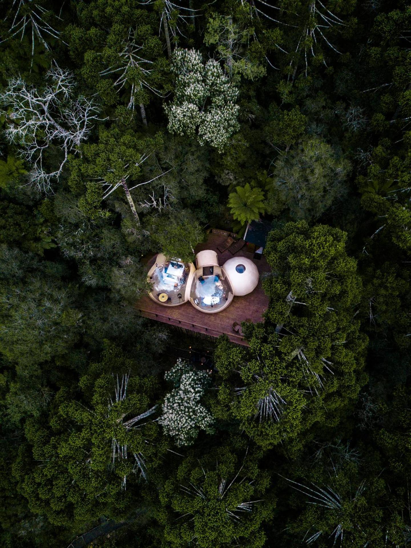 Hotel Zion Bubble Glamping *