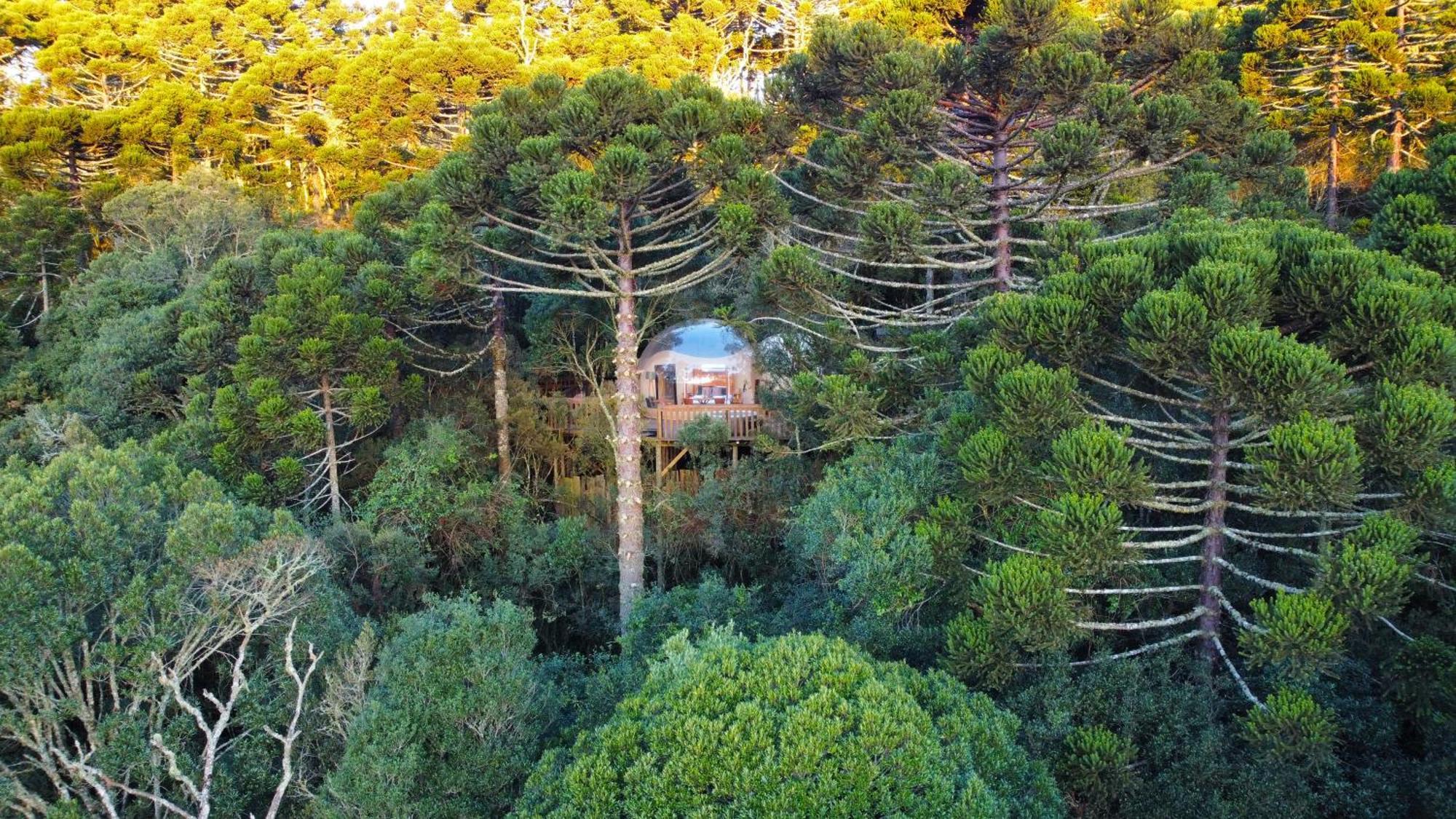 Zion Bubble Glamping Urubici
